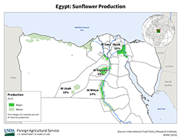 images\EG\cropprod\Egypt_Sunflowerseed_preview.png